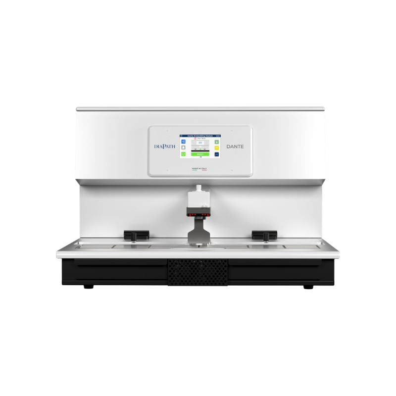 Diapath Timer Dante Embedding System - Diapath - Remma