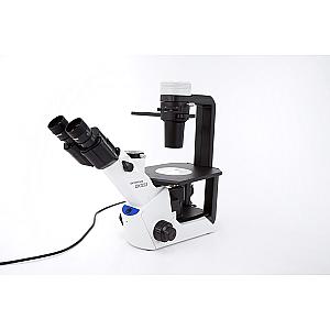 Microscope inversé CKX53