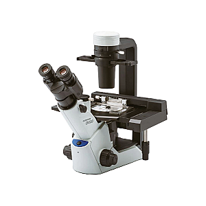 Microscope inversé CKX53