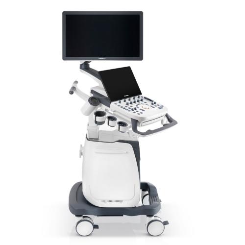 Ultrasound System P10