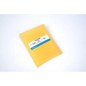 WAT054225 Protection Column for Symmetry C18 Analytical Column