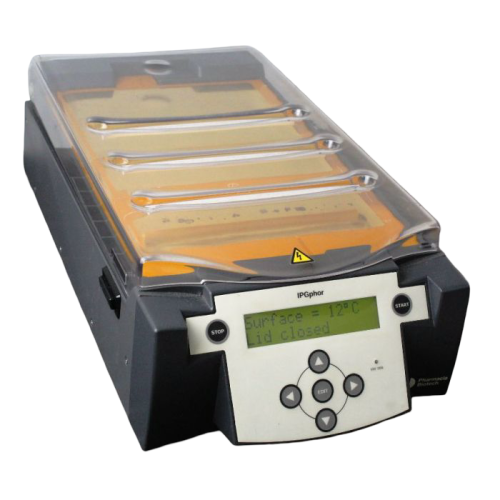 Sistema de focalização isoeléctrica IPGphor
