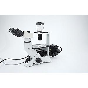CKX41 Inverted Microscope